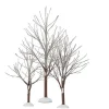 Village Accessories<Department 56 First Frost Trees